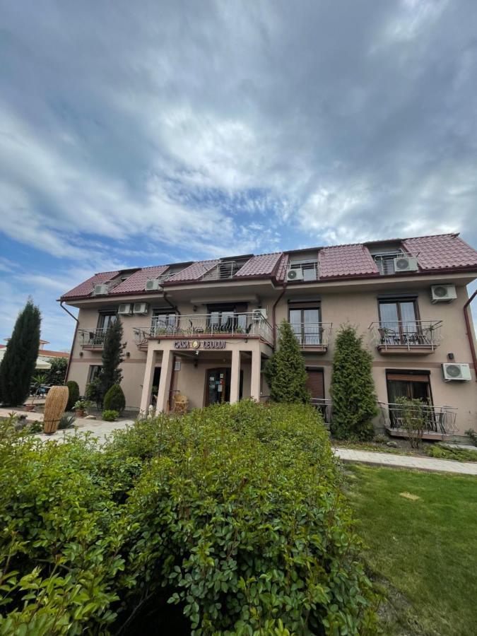 Hotel Ametist Casa Leului Năvodari Exterior foto