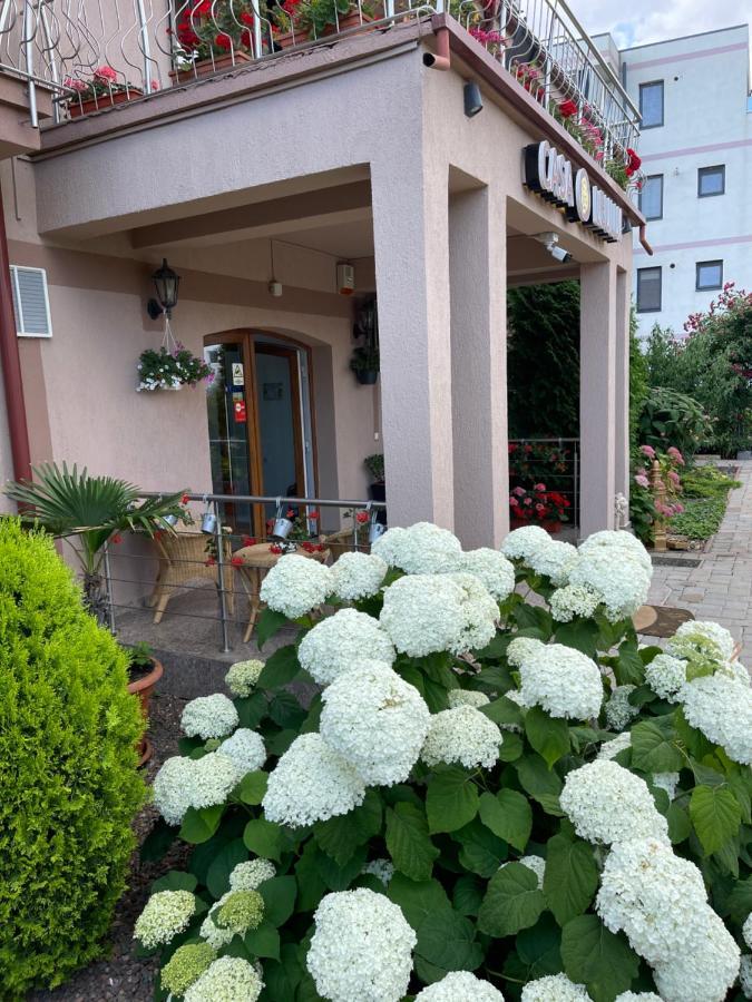 Hotel Ametist Casa Leului Năvodari Exterior foto